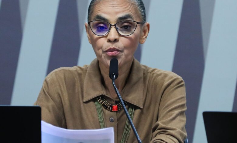 oposicao-a-protecao-ambiental-tenta-silenciar-marina,-dizem-analistas