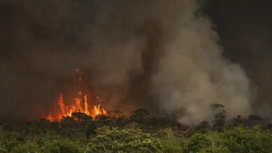 camara-aprova-aumento-de-punicao-a-quem-provocar-incendios-florestais