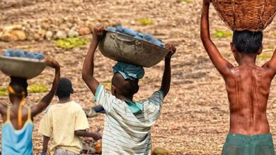mais-de-6-mil-criancas-sao-resgatadas-do-trabalho-infantil-em-2-anos