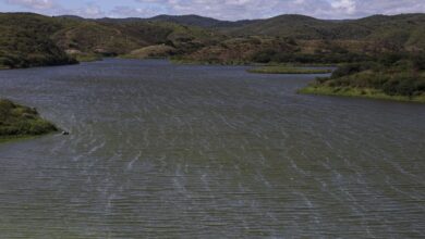 rio-sao-francisco-tera-nova-hidrovia-para-transporte-de-cargas-ao-ne