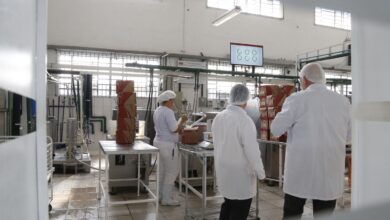 pais-recebera-r$1,3-bi-de-fundos-externos-para-descarbonizar-industria